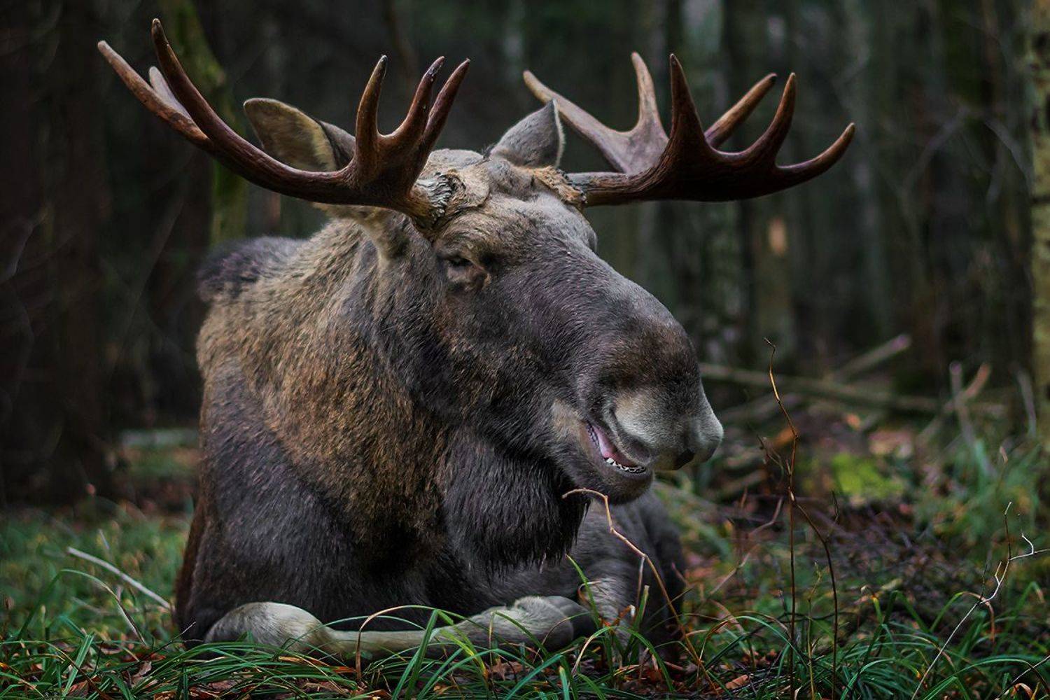 , Валерий Субачев