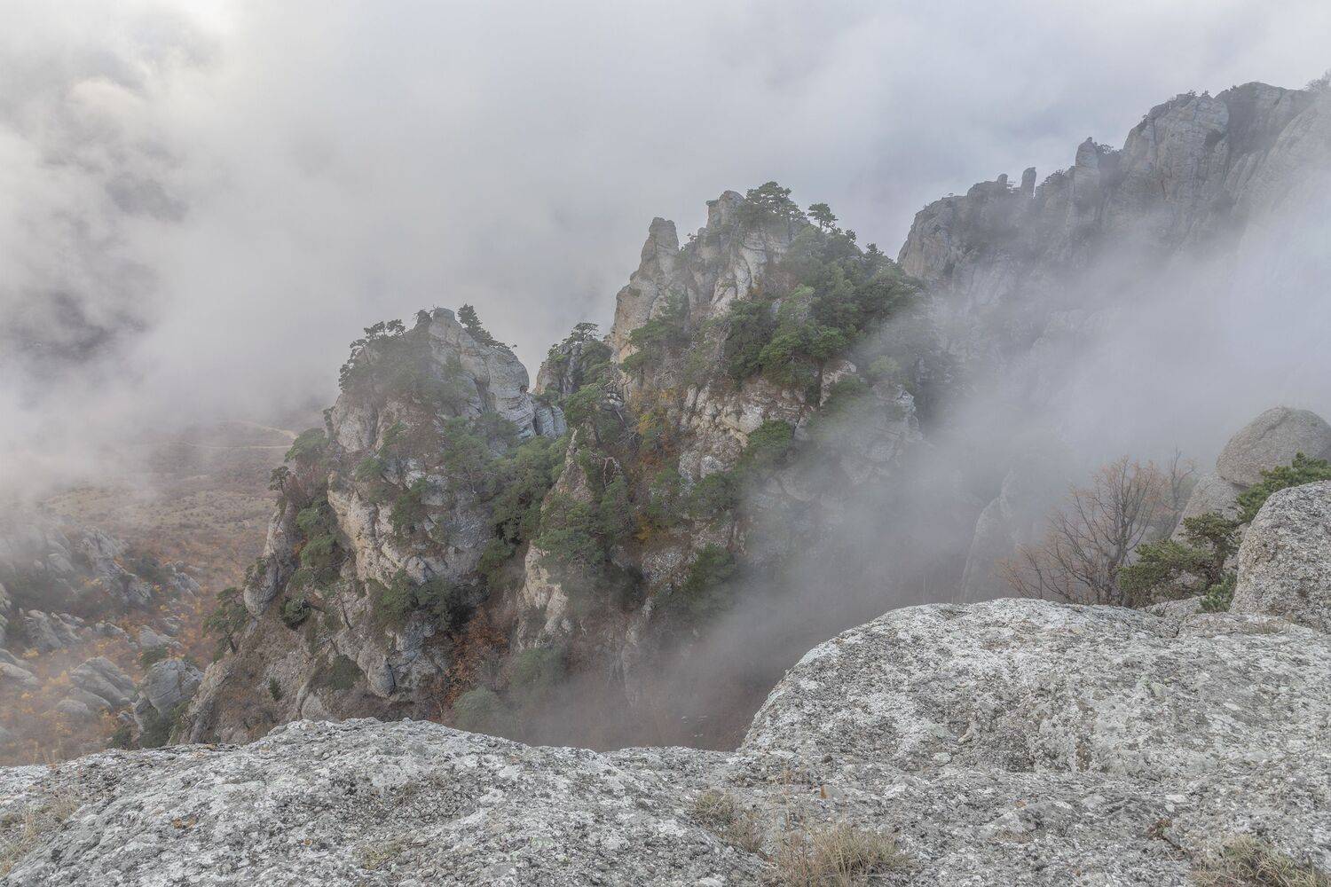 Крым, Елена Гусева