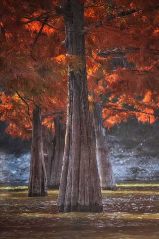 Кипаис фото превью