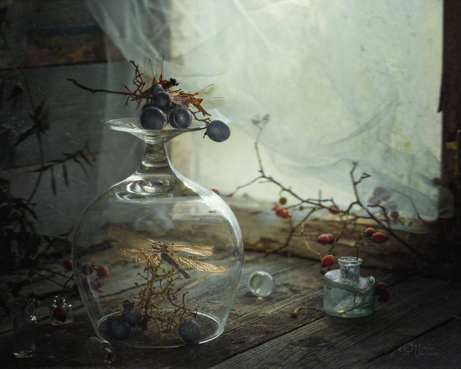 , Наталия Поникарова