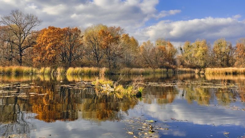 осень, река, отражения, позолота, облака затон фото превью
