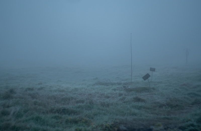 тишина сейчас* фото превью