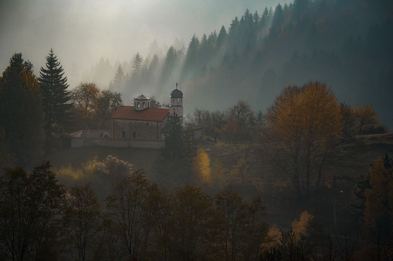 Autumn morning фото превью