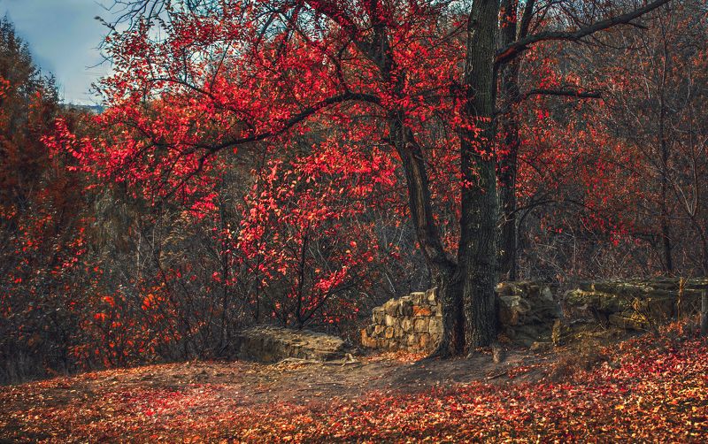 *** фото превью