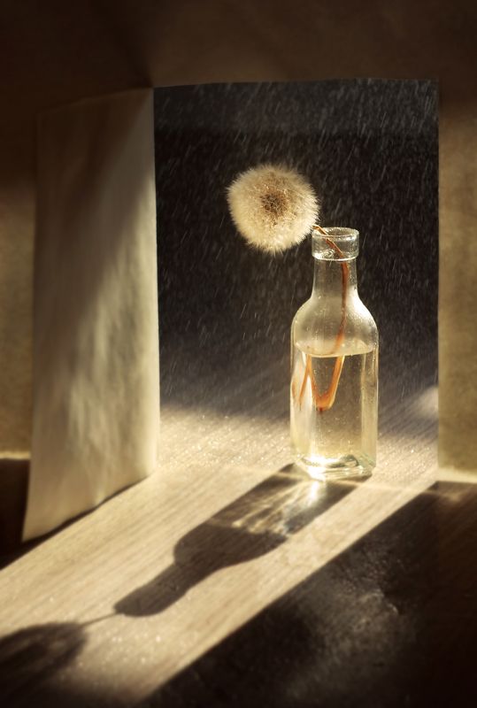 Тушите свет фото превью