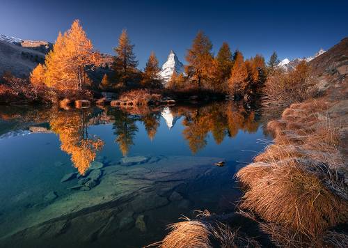Autumn Tale