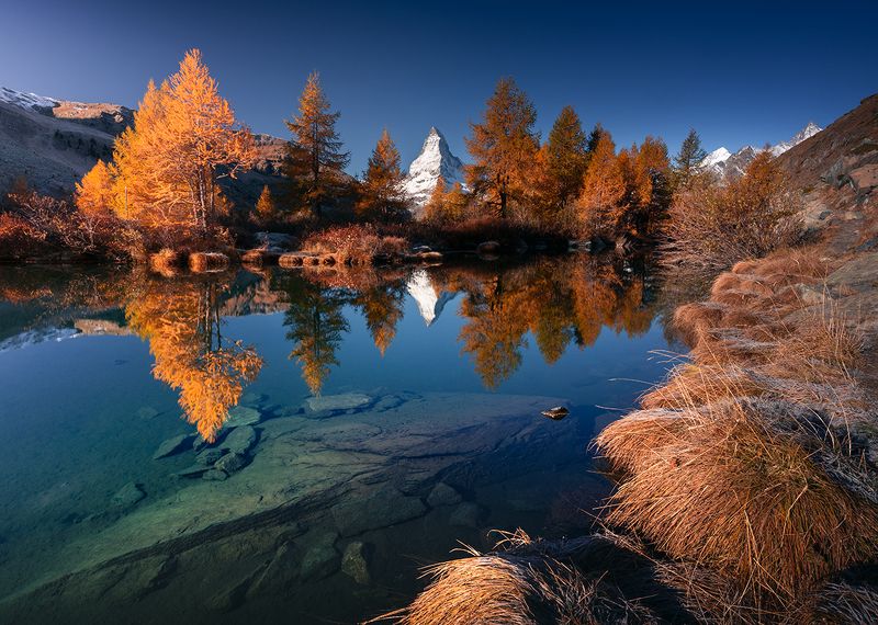 Autumn Tale