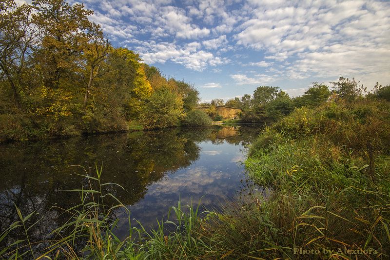В зеркальном отражении фото превью