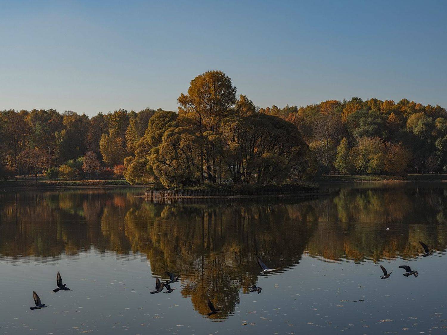 , Сергей Духанин