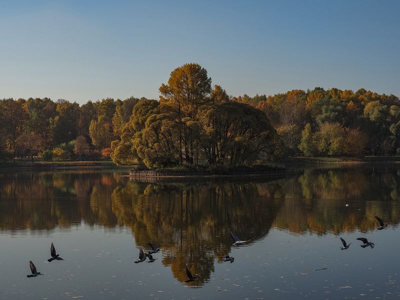остров фото превью