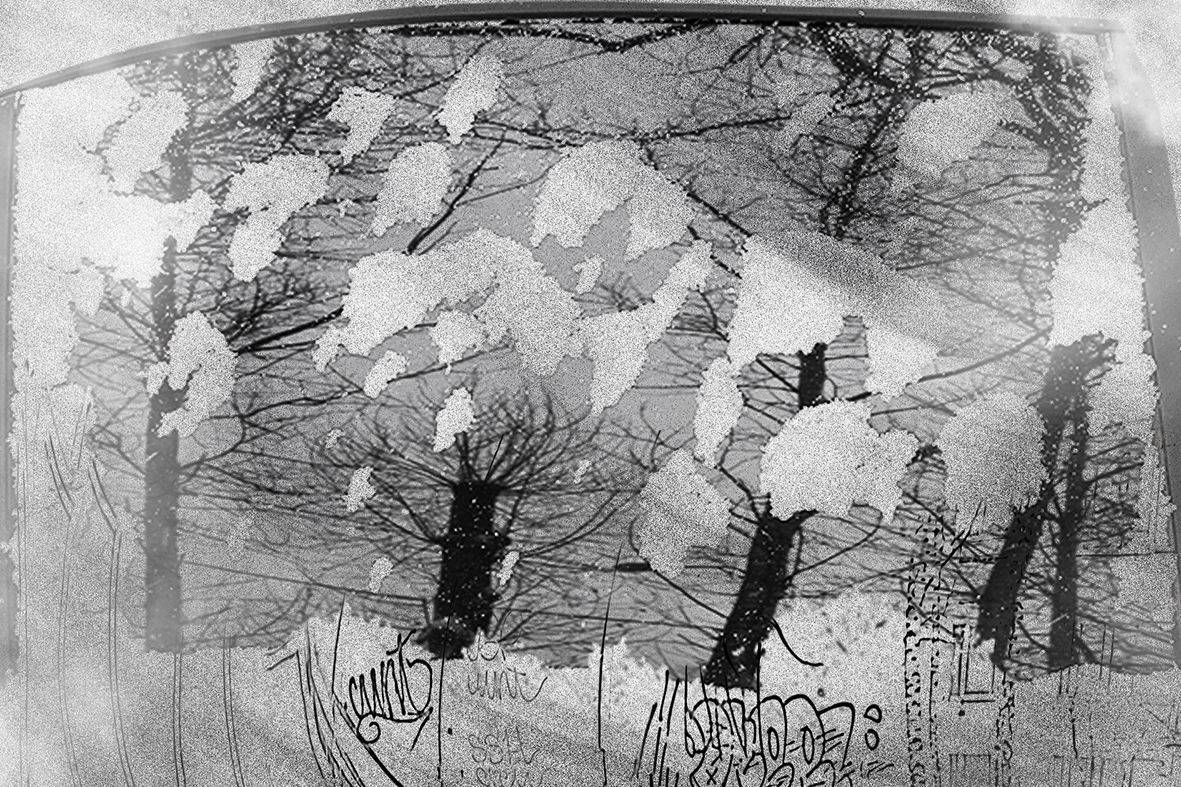 , T. Bondarenko