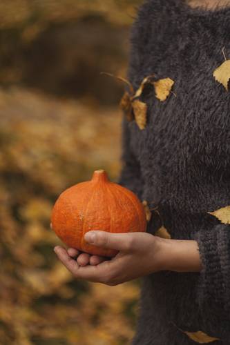 Уютная осень