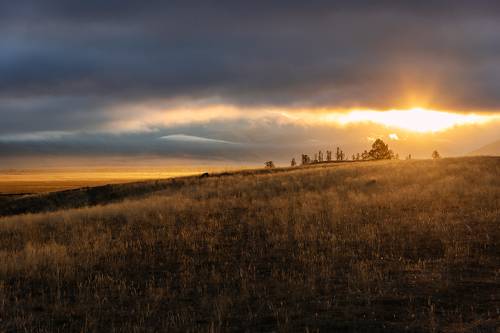 Путешествие наудачу…