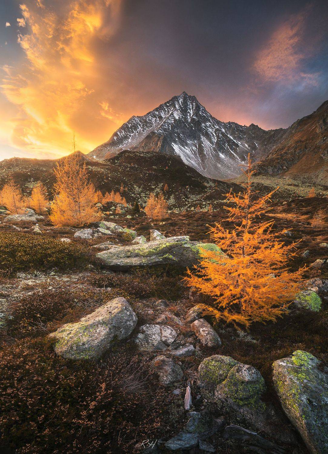 , Roksolyana Hilevych