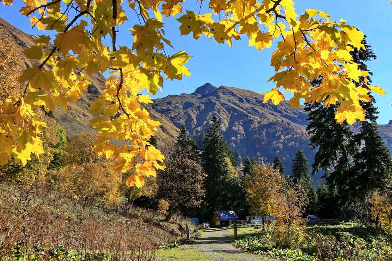 осень горы клён Тёплым осенним днём. фото превью