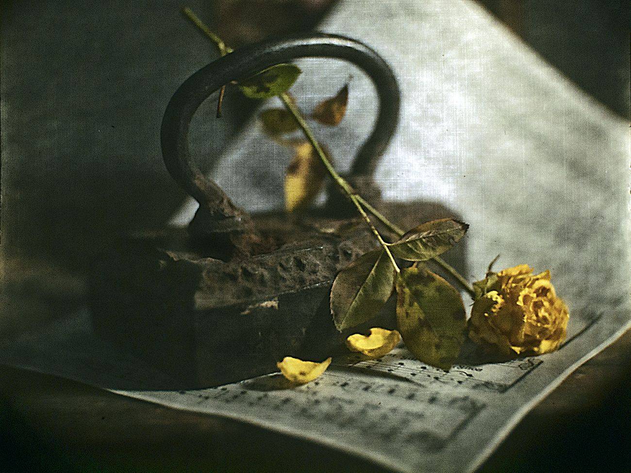 , Татьяна Аверина