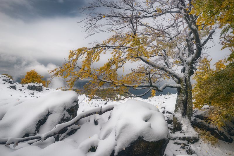 Struggle фото превью