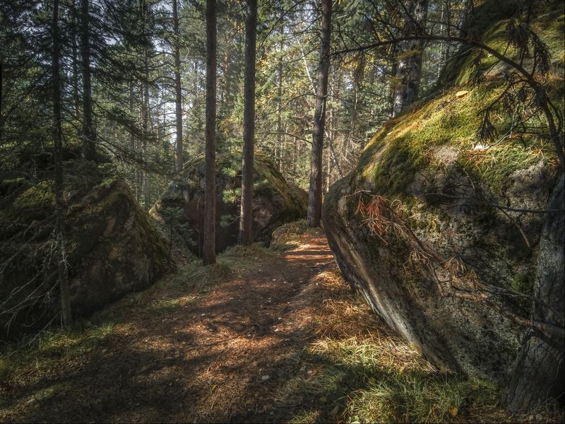 Не хватает мишек фото превью