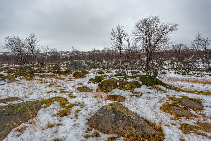 ...сплин осенний фото превью