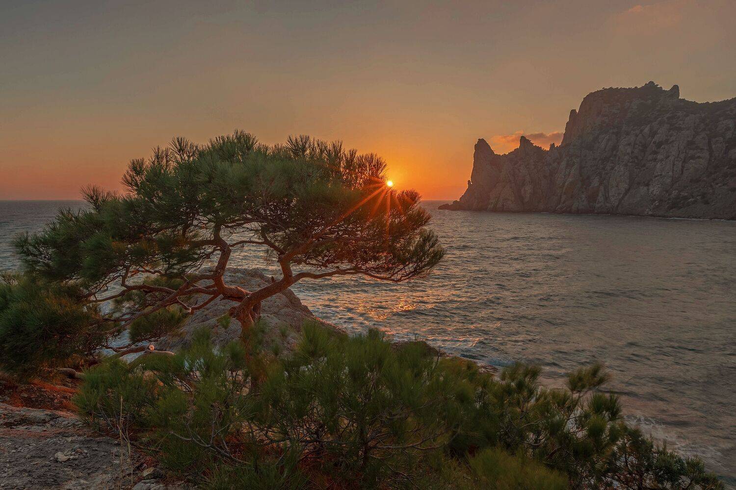 Крым, Елена Гусева