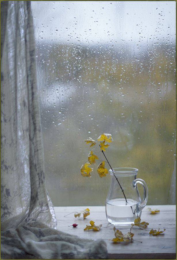 , Stein Georg
