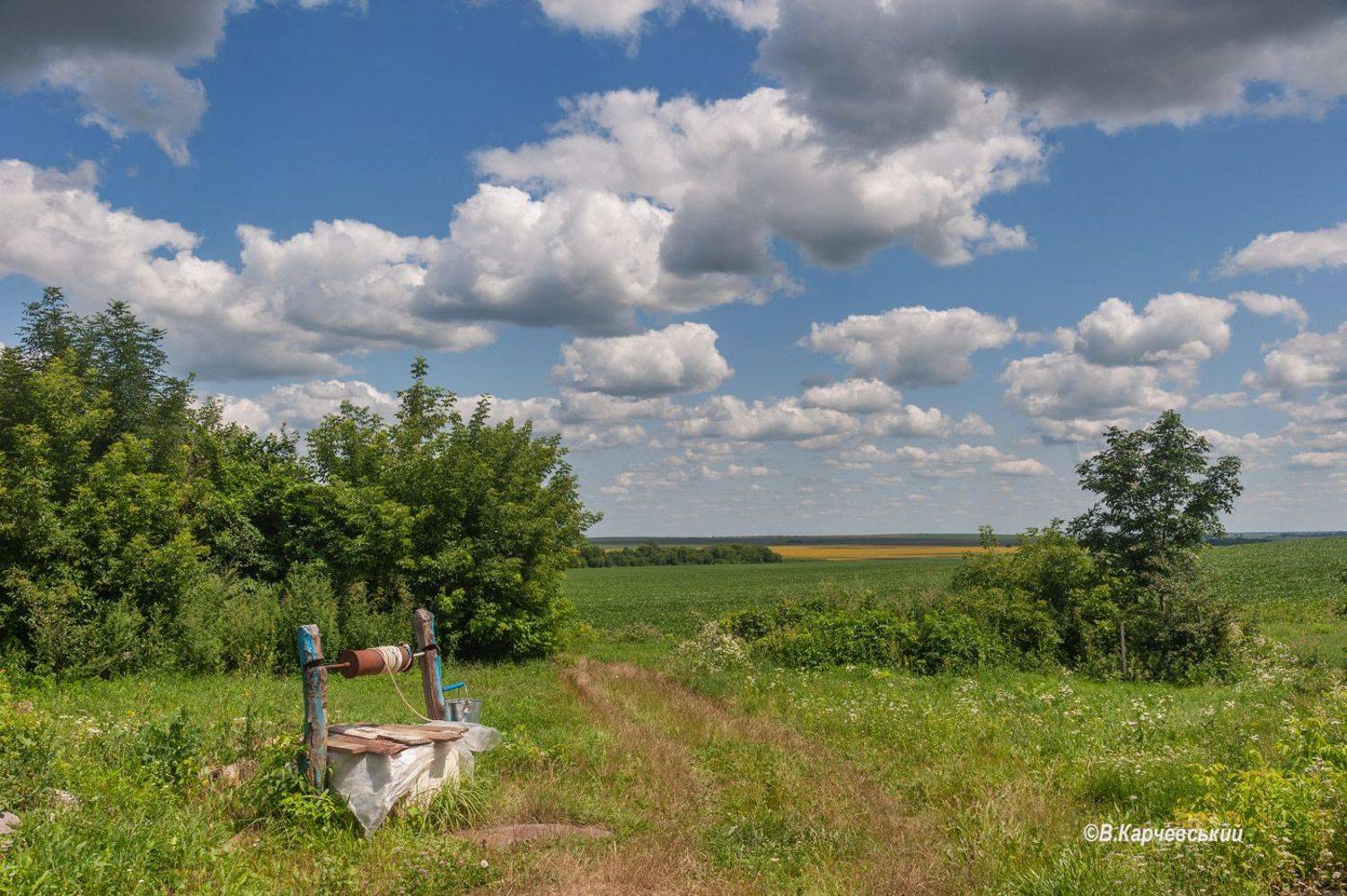 , Володимир Карчевський