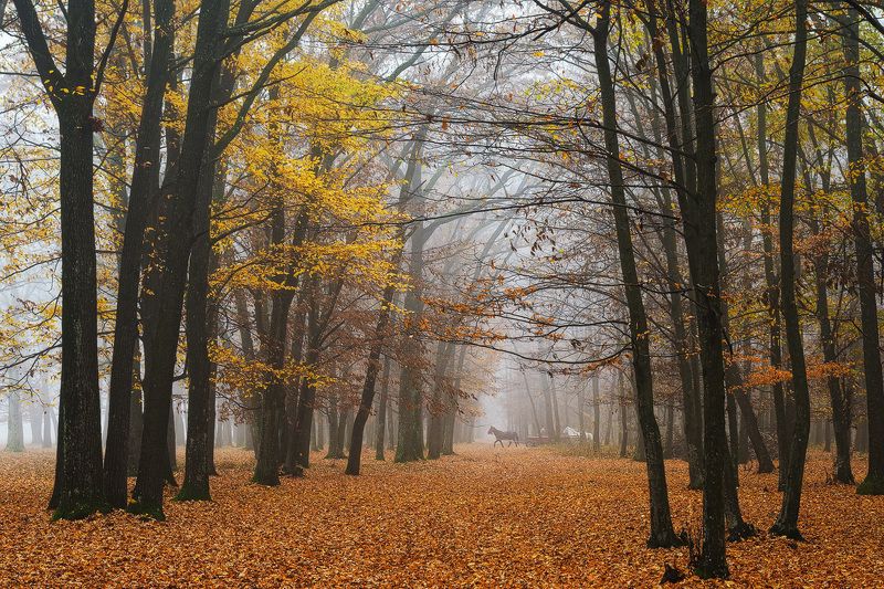 2021 фото превью