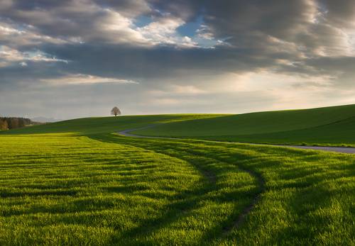 Весна в Баварии.