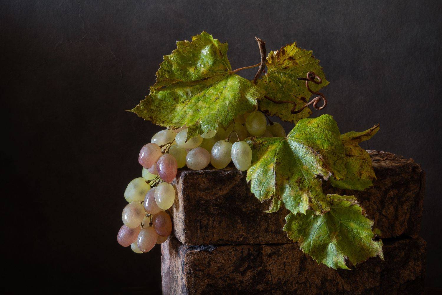 гроздь винограда, классика, виноград, завиток, капельки, Галина Тришина