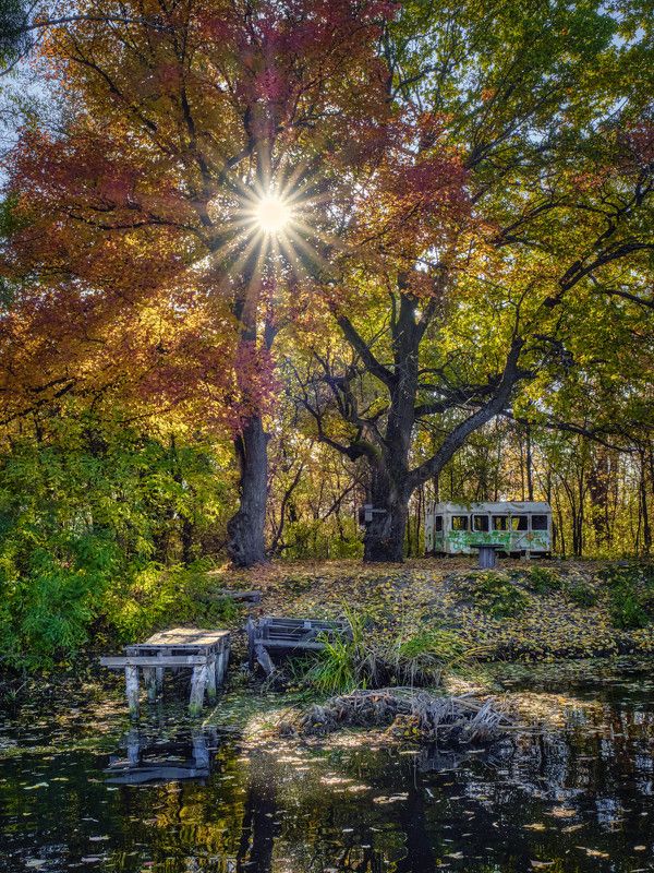 осень, деревья, река, мосток, солнце, лучистый, красочный забытое место фото превью