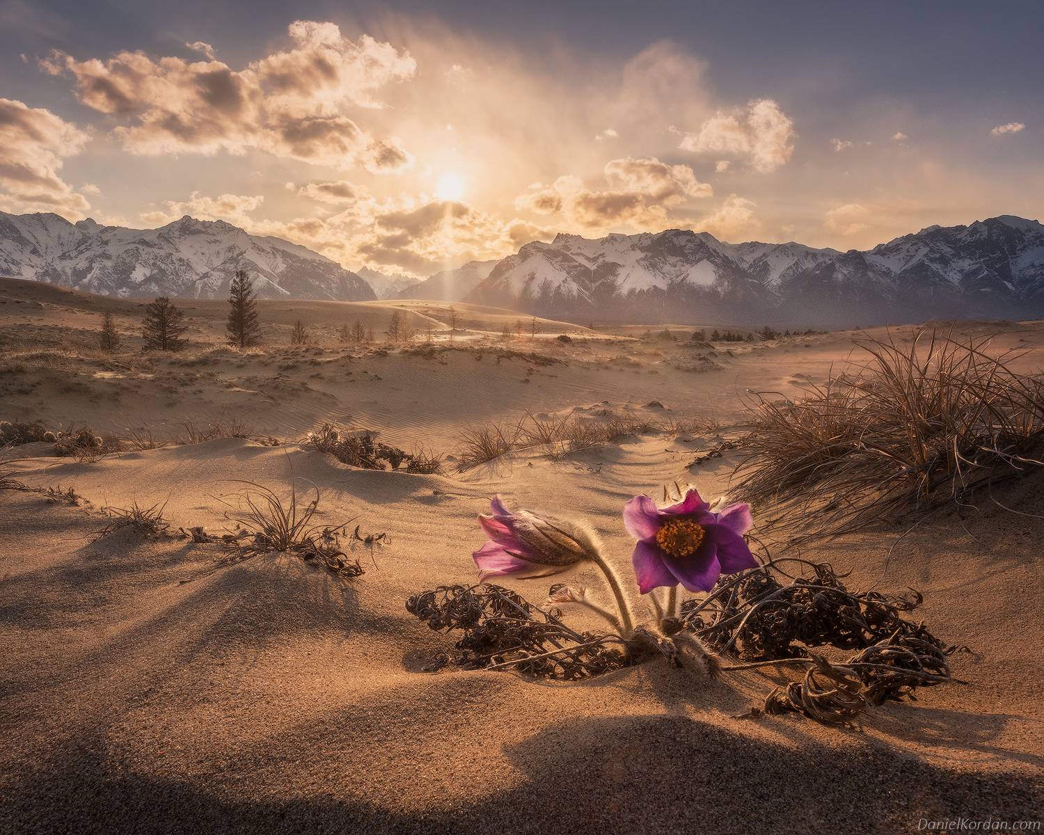 Чарские пески, Даниил Коржонов