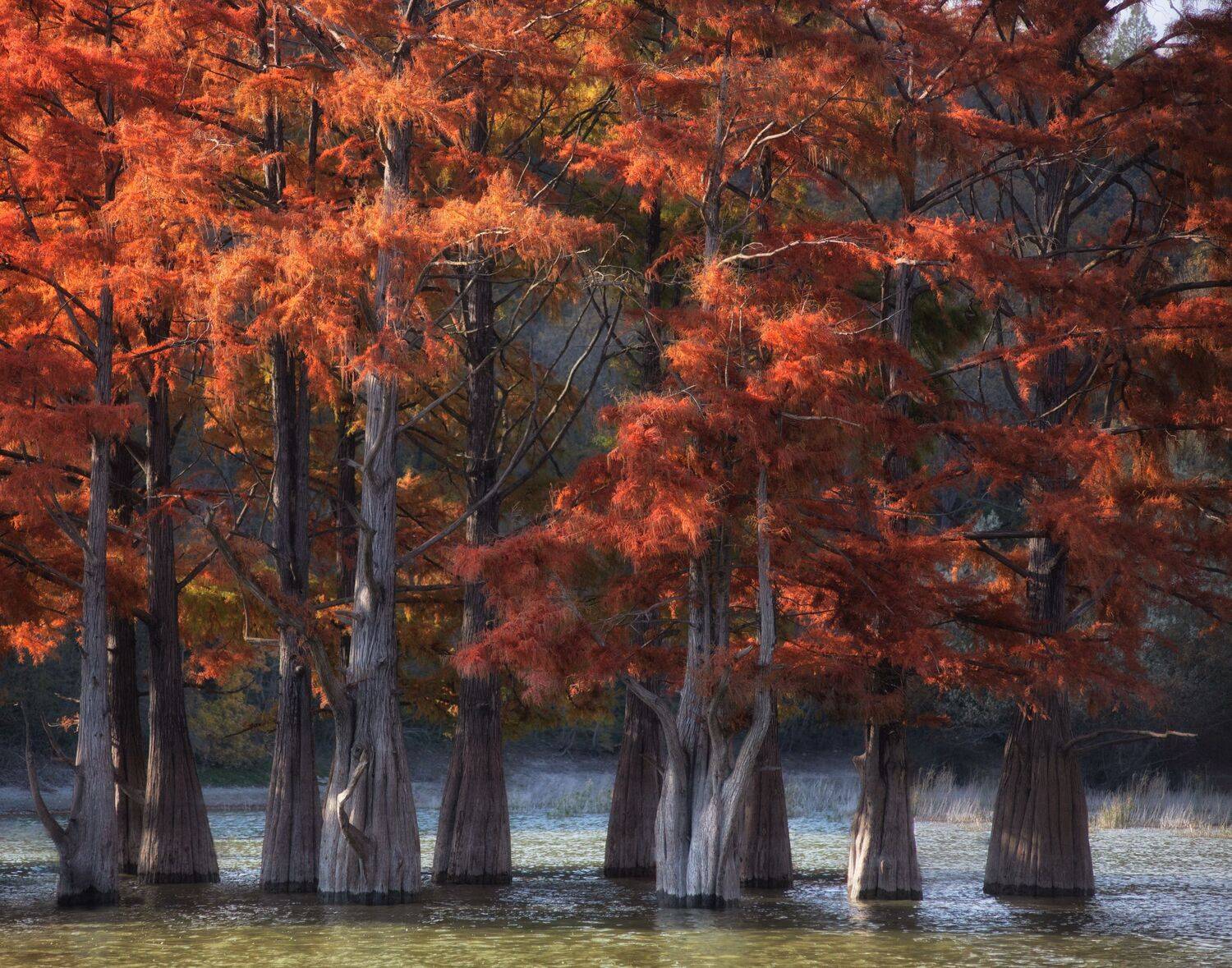 , Павел Сагайдак