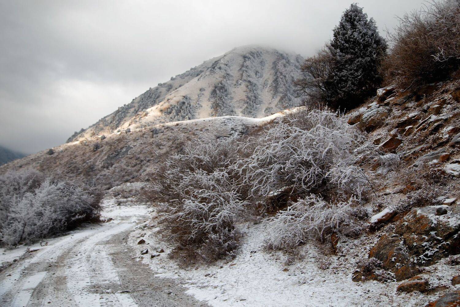 кыргызстан, горы, Элина Магалимова