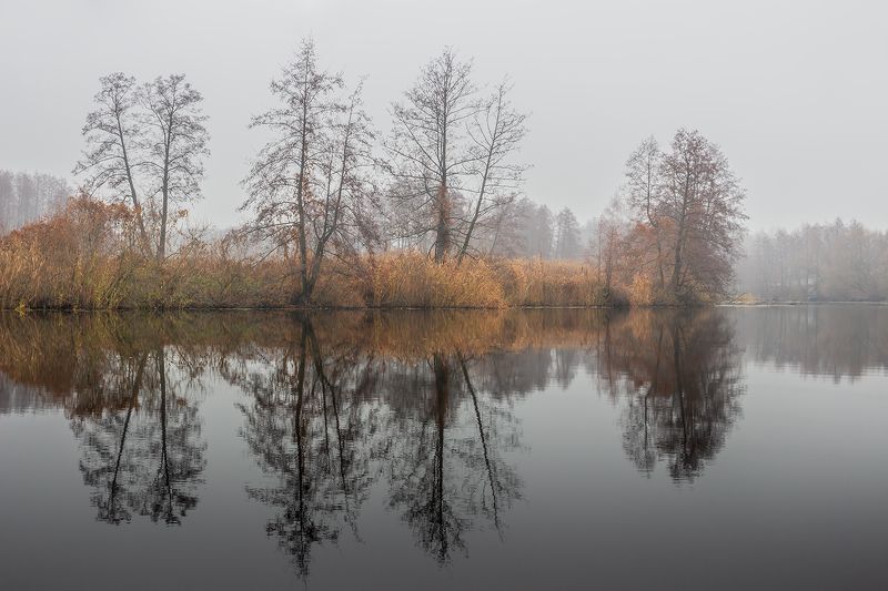 усмань, туман, природа, осень, ноябрь, липецкая область  фото превью