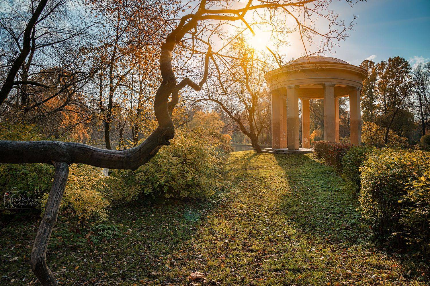 санкт-петербург, Дмитрий Бакулин