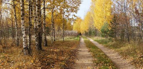 Дорога в осень