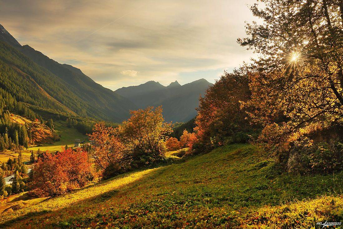 swiss, Матвеев Николай