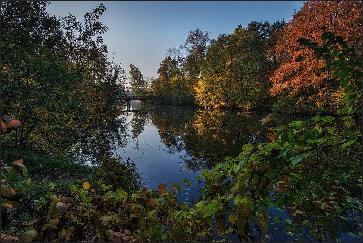 москва, осень, озеро, лес, АНАТОЛИЙ ДОВЫДЕНКО