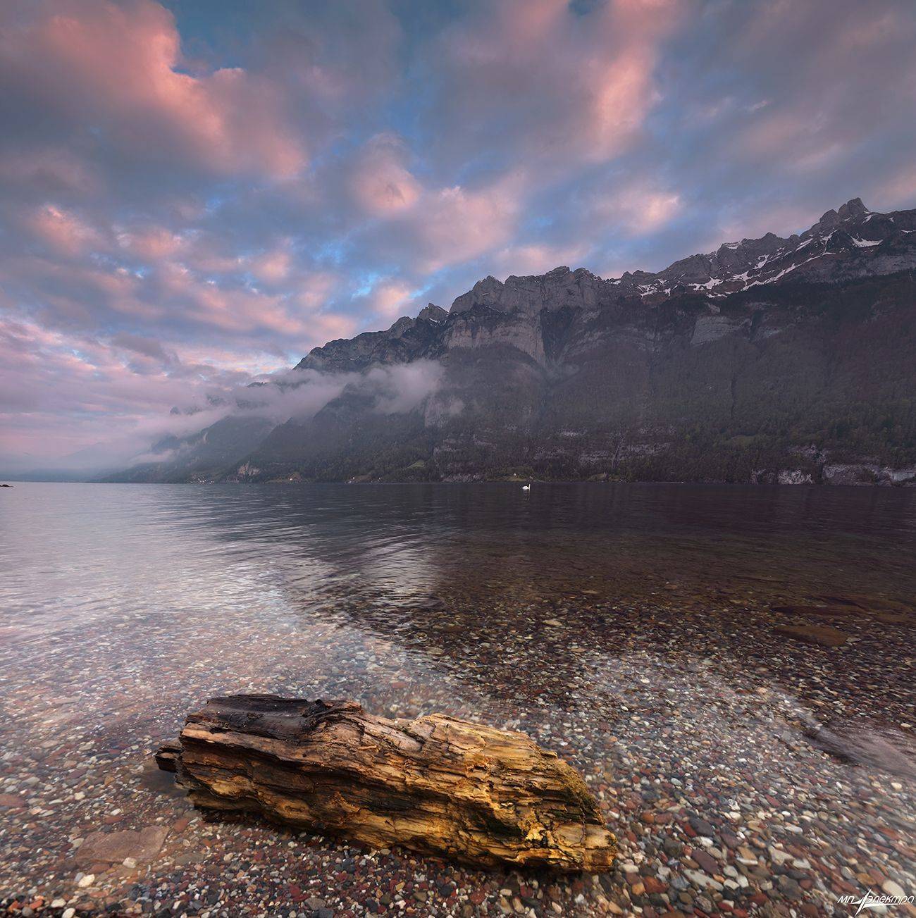 swiss, Матвеев Николай