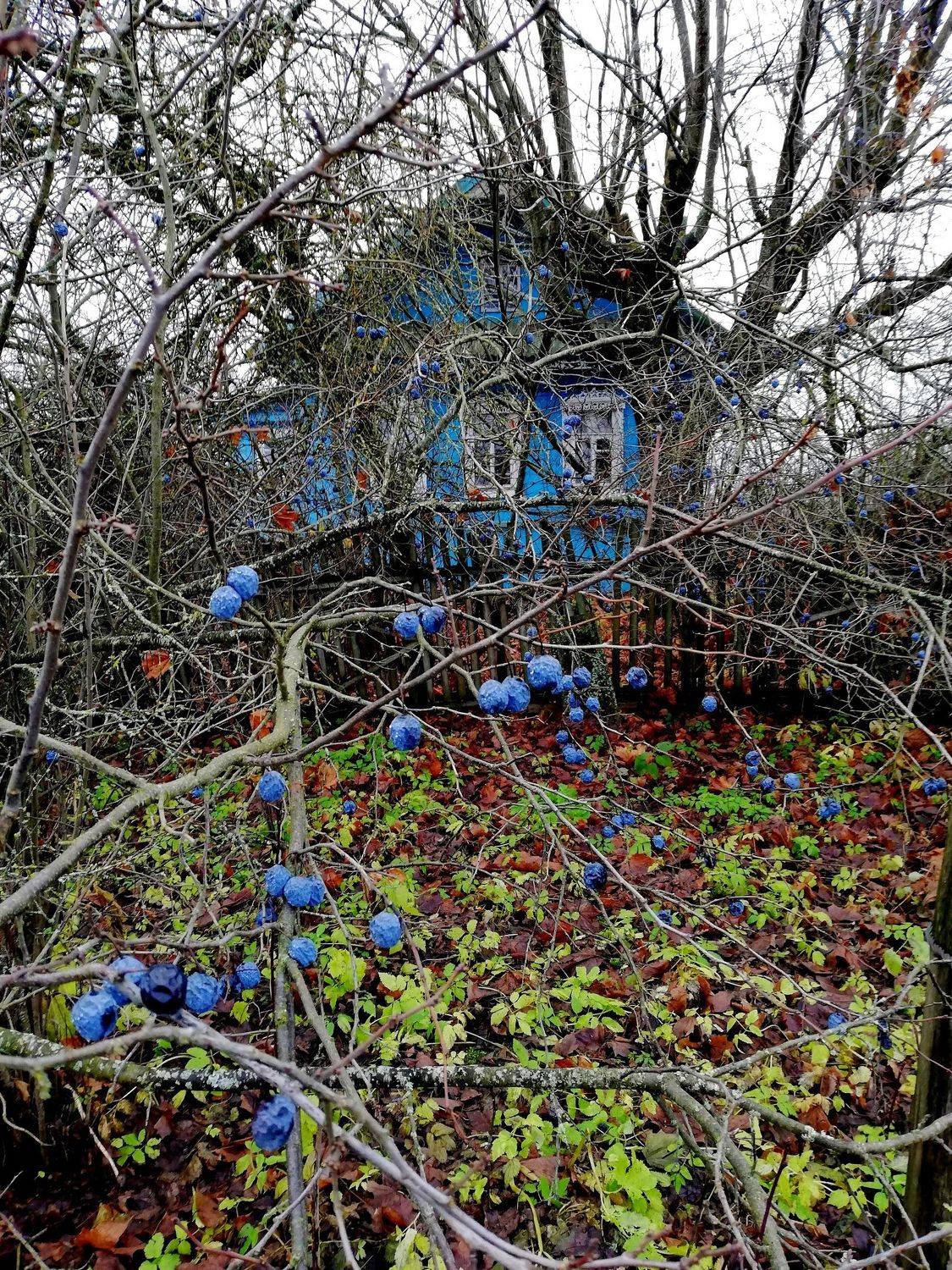 , Даркина Дарья