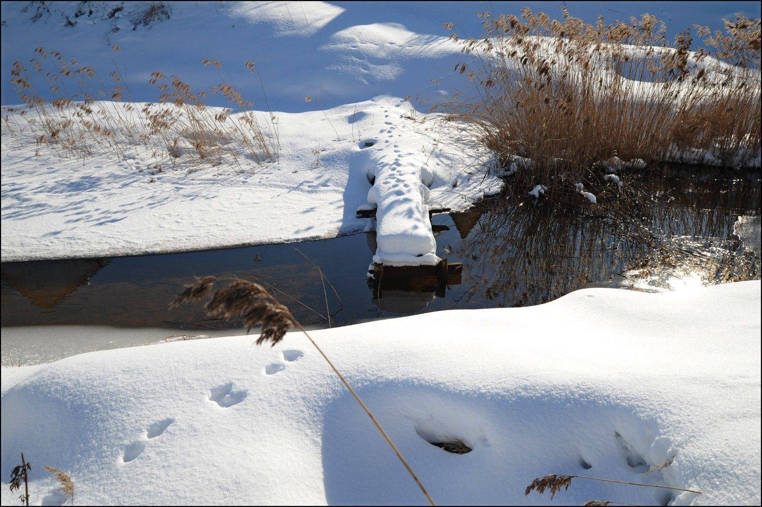 , Дарья Васильева