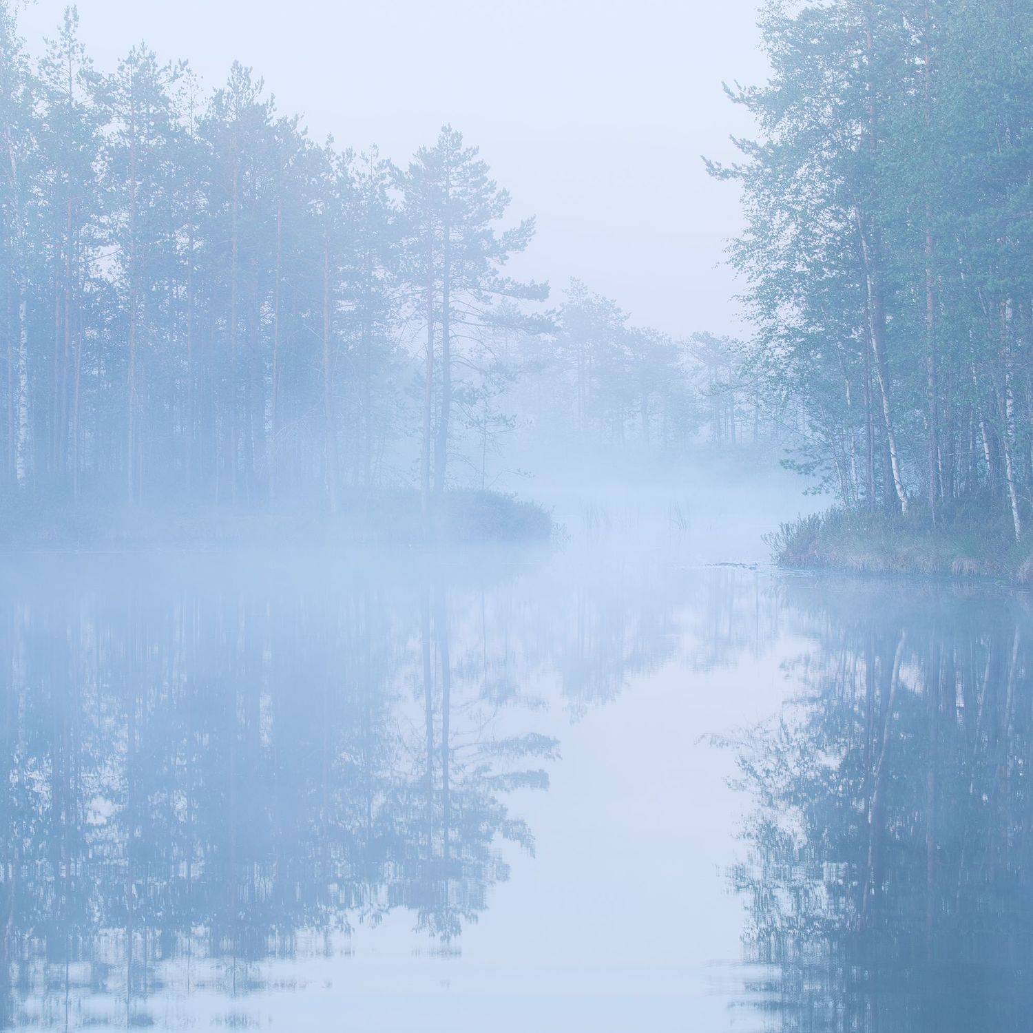 , Антон Кононов