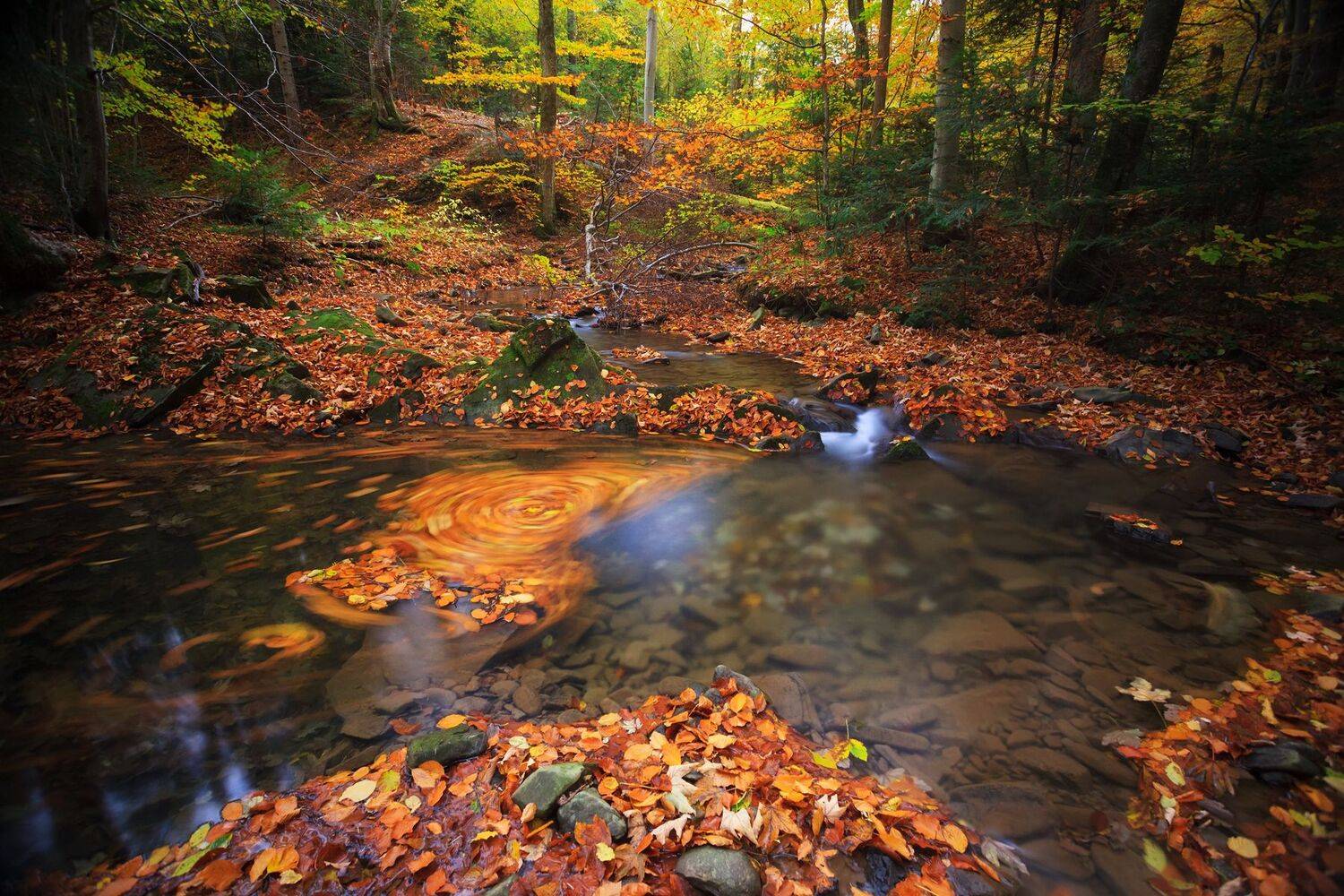 autumn, river, beskid niski, bieszczady,  Mirosław Pruchnicki