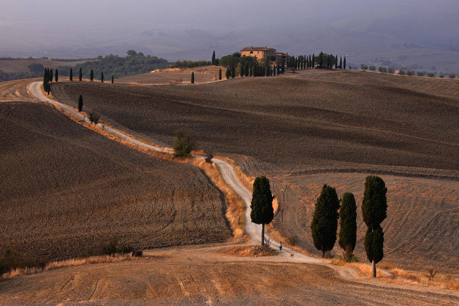 tuscany, pienza, road, gladiator, morning, cypress, autumn,, Jacek Lisiewicz
