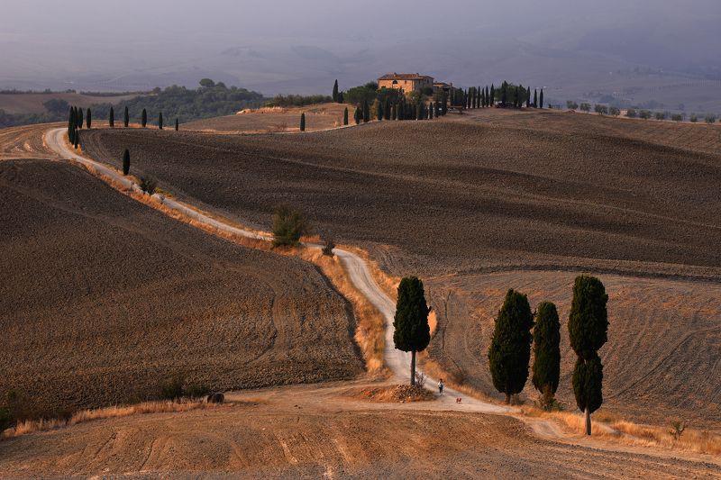 tuscany, pienza, road, gladiator, morning, cypress, autumn, Strada di Terrapille фото превью