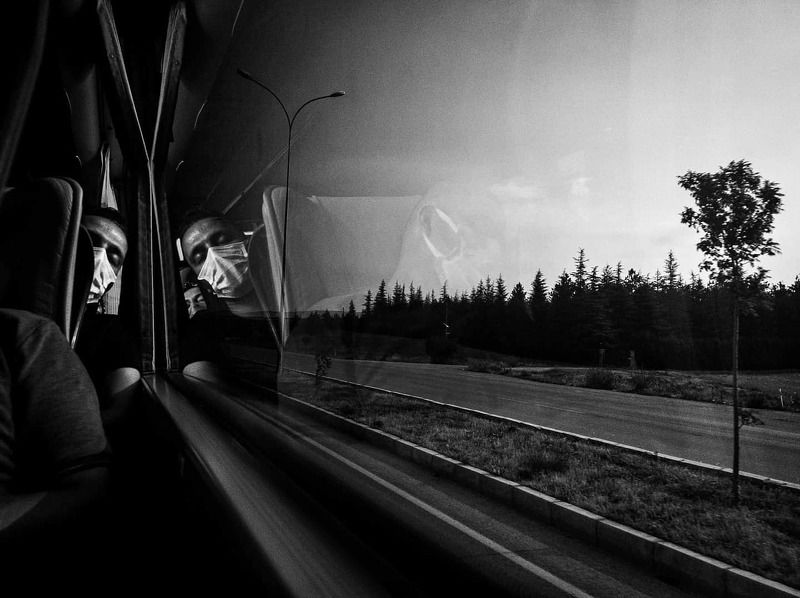 Bus Trip фото превью