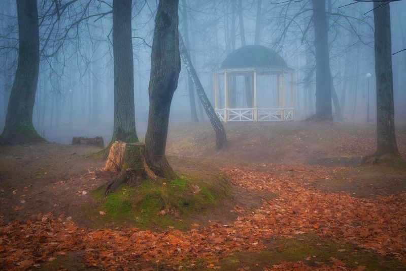 Туман. фото превью