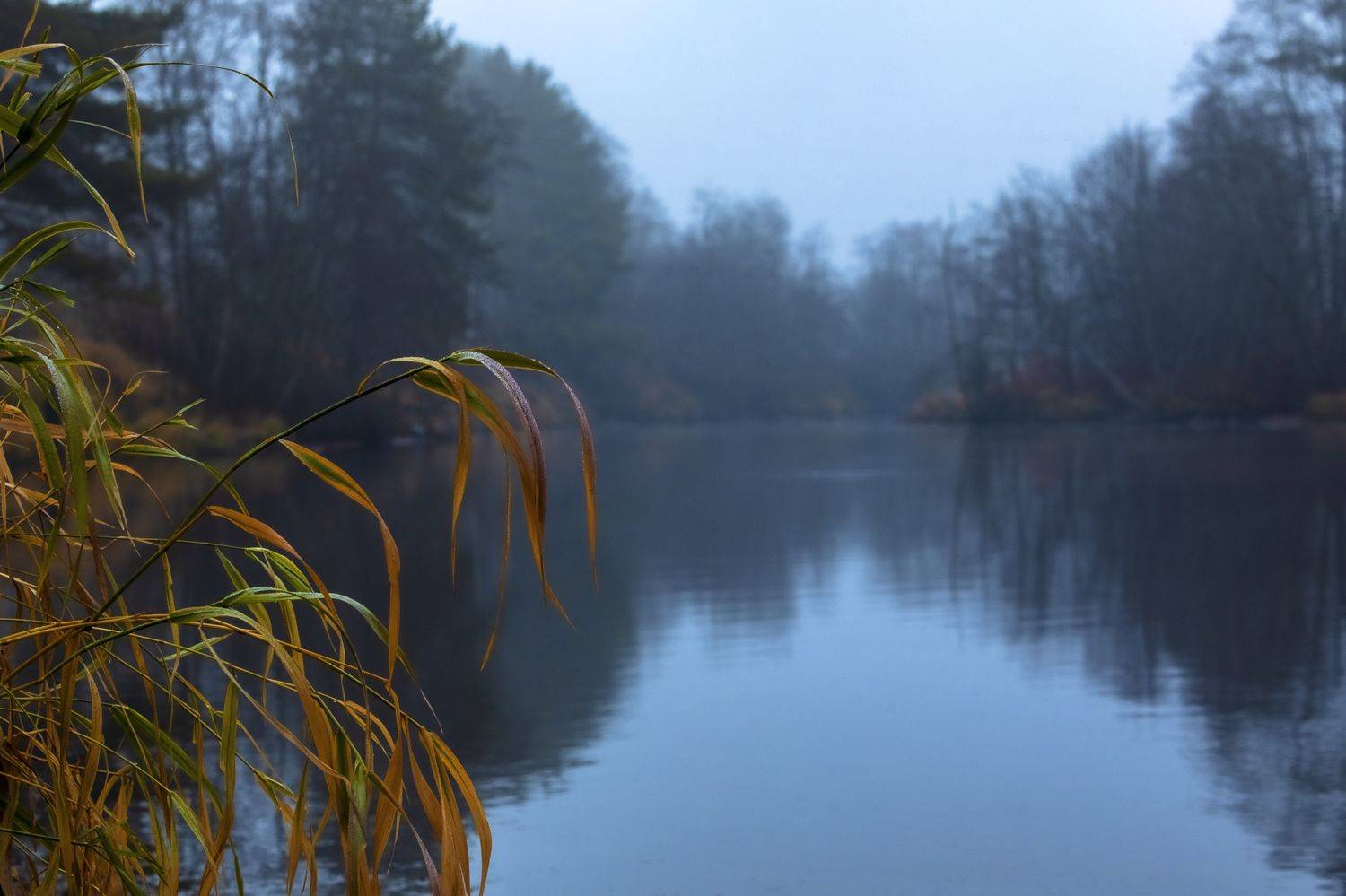 пейзаж, природа, утро, рассвет, река, небо, туман, Александр Игнатьев