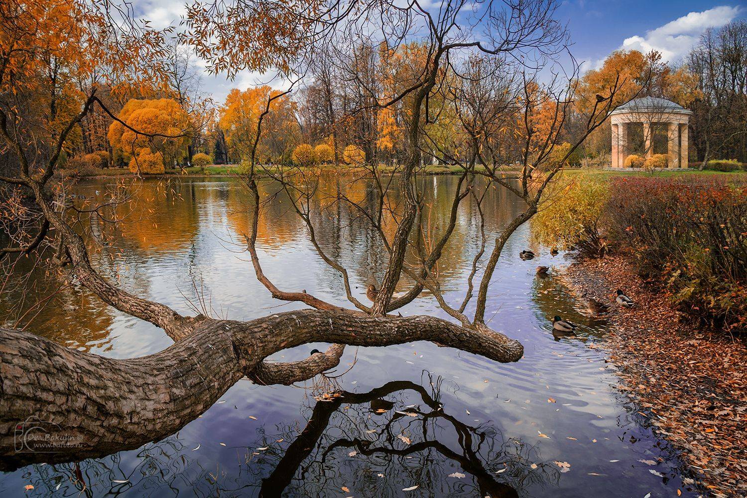bakulind, санкт-петербург, екатерингоф, Дмитрий Бакулин