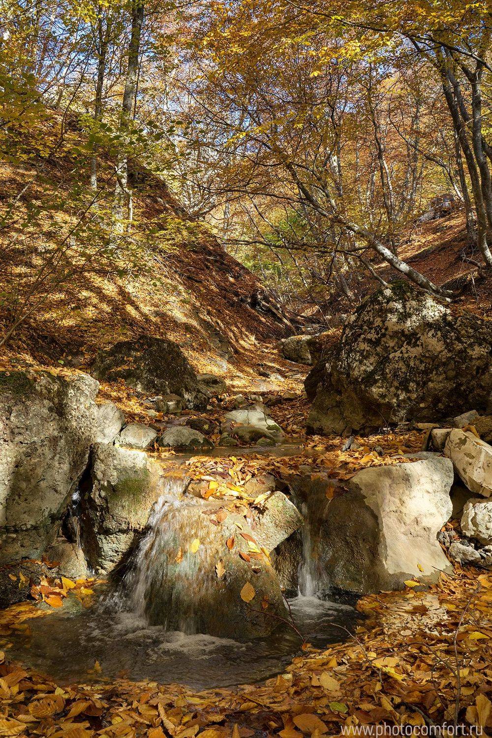 пейзаж, осень, ручей, поток, оранжевый, энергия, ярко, позитив, bright, autumn, red, orange, stream, leaves, Елена Ковригина